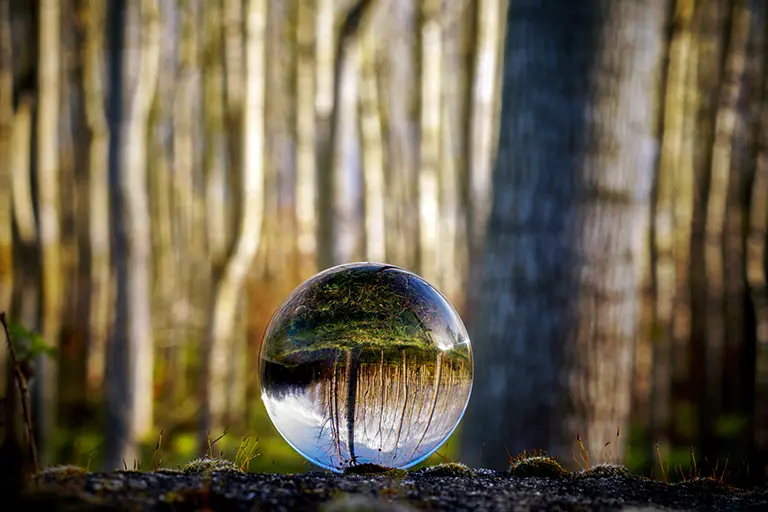 Photo d'une boule de verre renvoyant le paysage arrière à l'envers